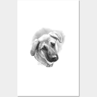 Puppy - Mixed Breed - Dog Illustration Posters and Art